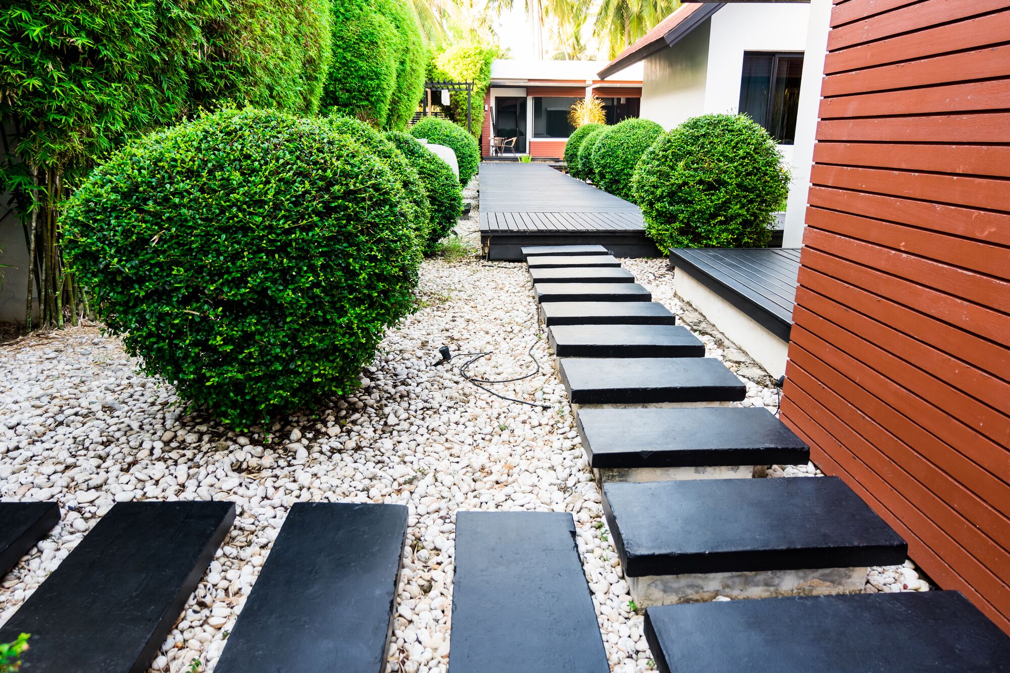 Lush greenery frames a pathway of black stepping stones leading through a serene garden, showcasing modern landscaping and tranquility.