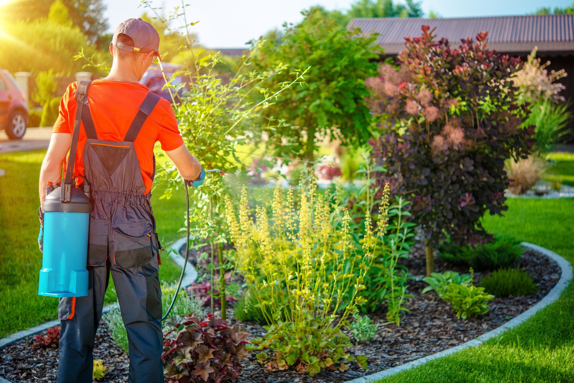 Gardener in a red shirt uses a sprayer to treat plants in a vibrant garden, emphasizing landscaping care and maintenance.