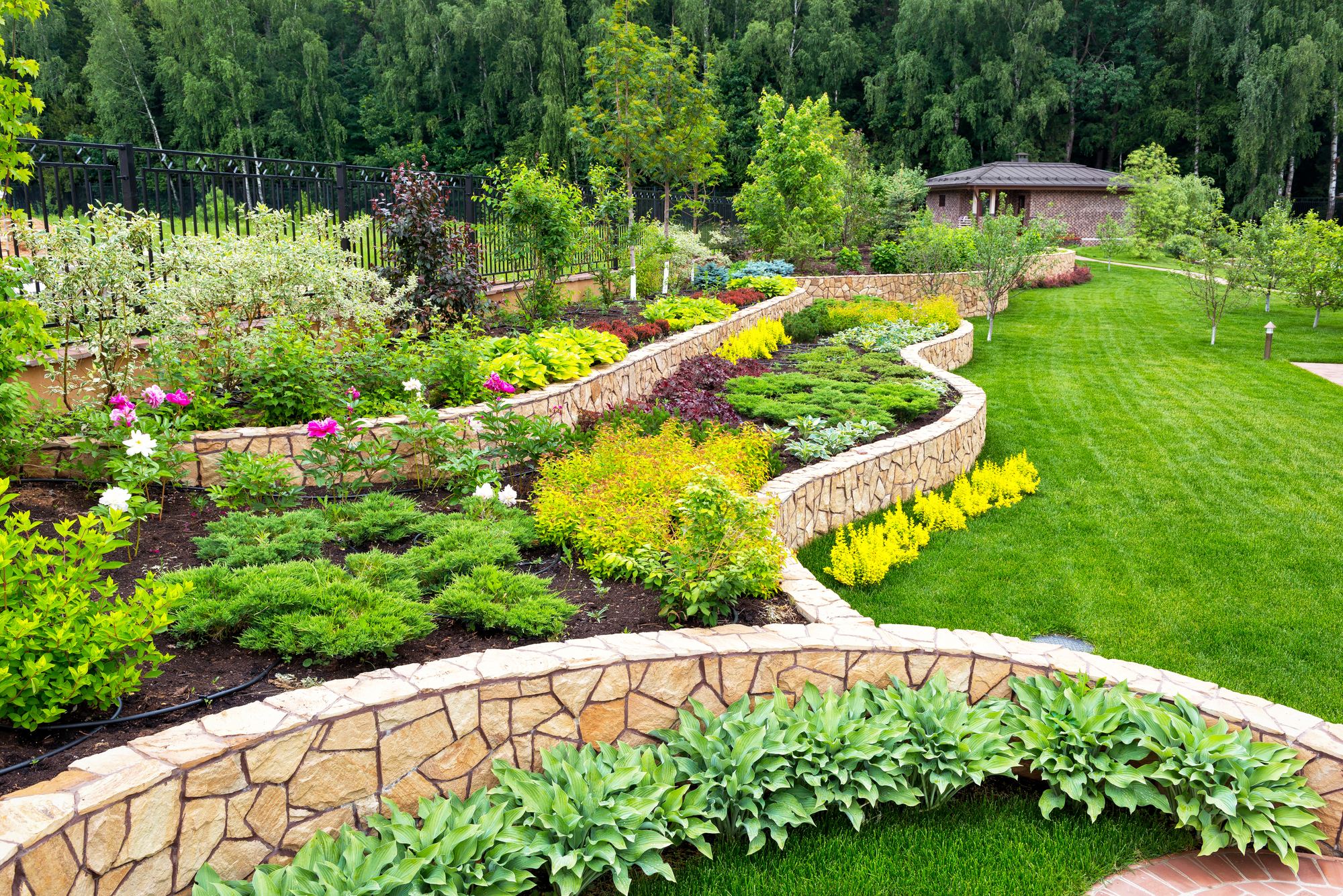 Landscape design with flower beds in home garden, beautiful landscaping in residential house backyard.